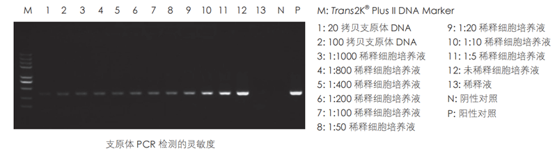 图片1_副本.png