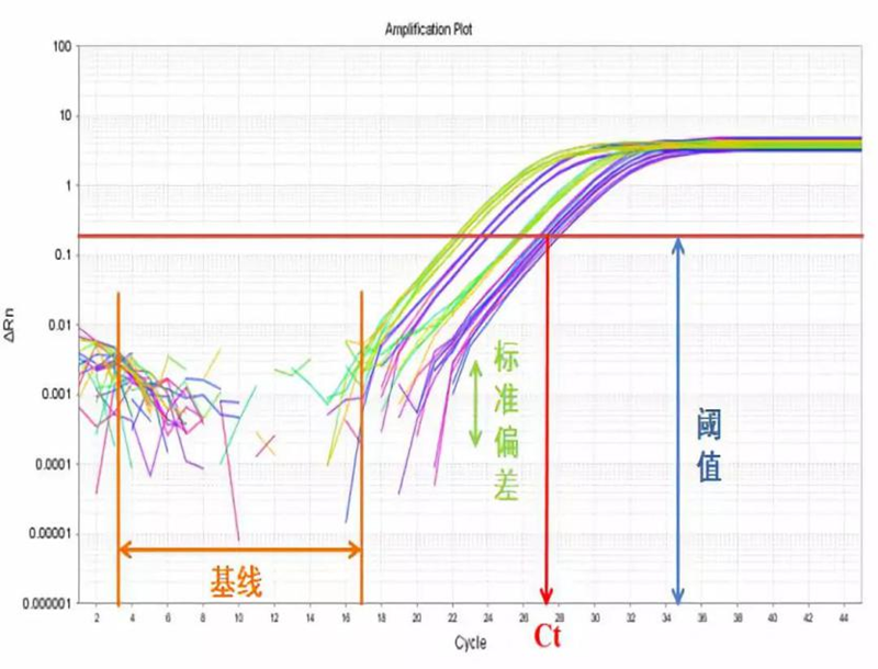 图片1_副本.png