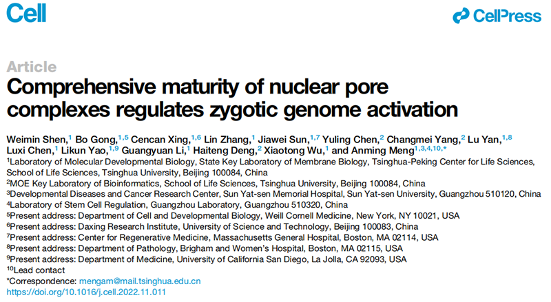 清华大学生命科学学院孟安明院士课题组揭示核孔复合体调控合子基因组激活新机制,全式金