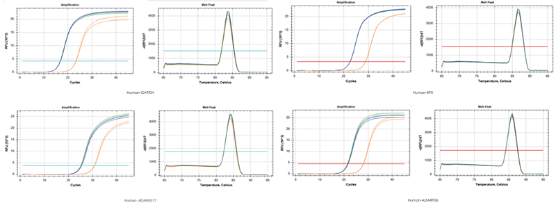 使用TransGen产品，以200 ng RNA、200 ng RNA+200 ng gDNA、200 ng gDNA为  模板进行反转录后定量扩增不同基因。结果表明，TransGen产品具有强的gDNA去除能力。