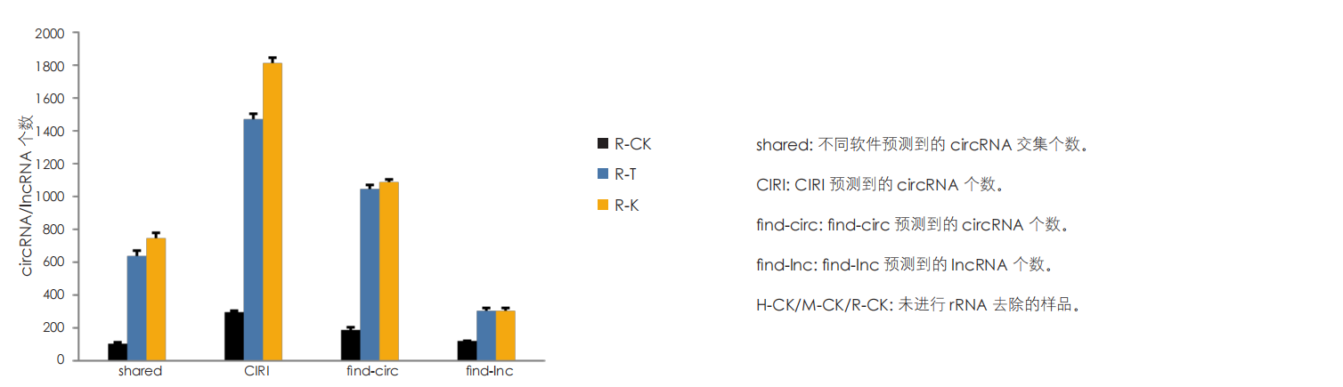 circRNA/lncRNA 分析