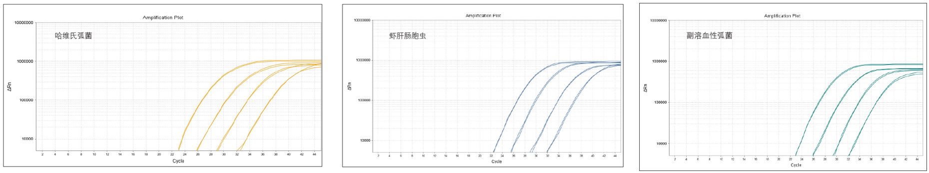 图片20.png